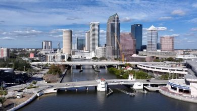 how-tampa-businesses-are-maintaining-growth-despite-tariffs-in-2025