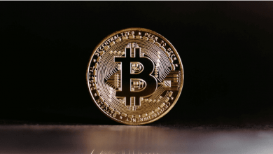 from-btc-to-blazpay’s-presale-ico:-the-2025-bull-market’s-top-10-coins-you-can-buy-early